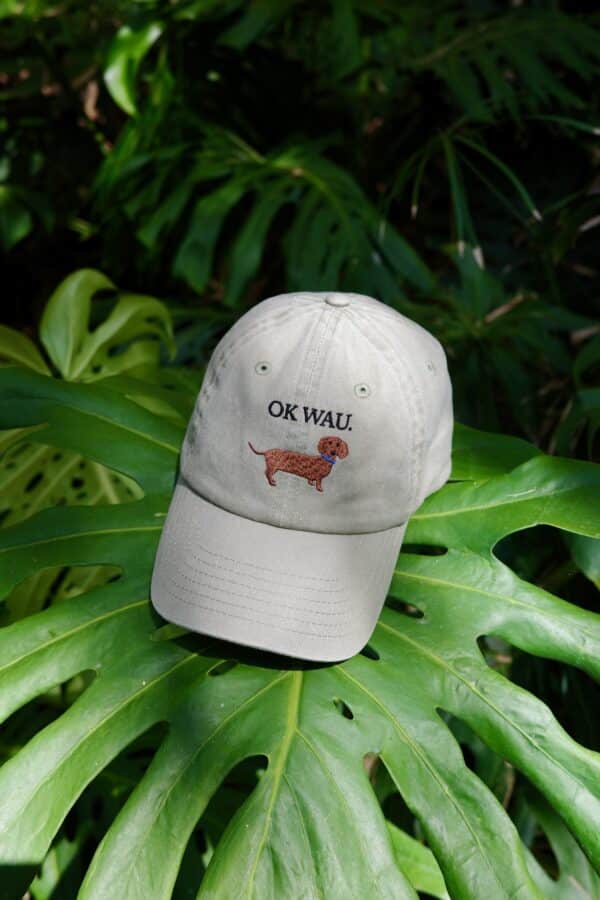 OK WAU CAP (WASHED ALMOND GREEN) – Bild 4